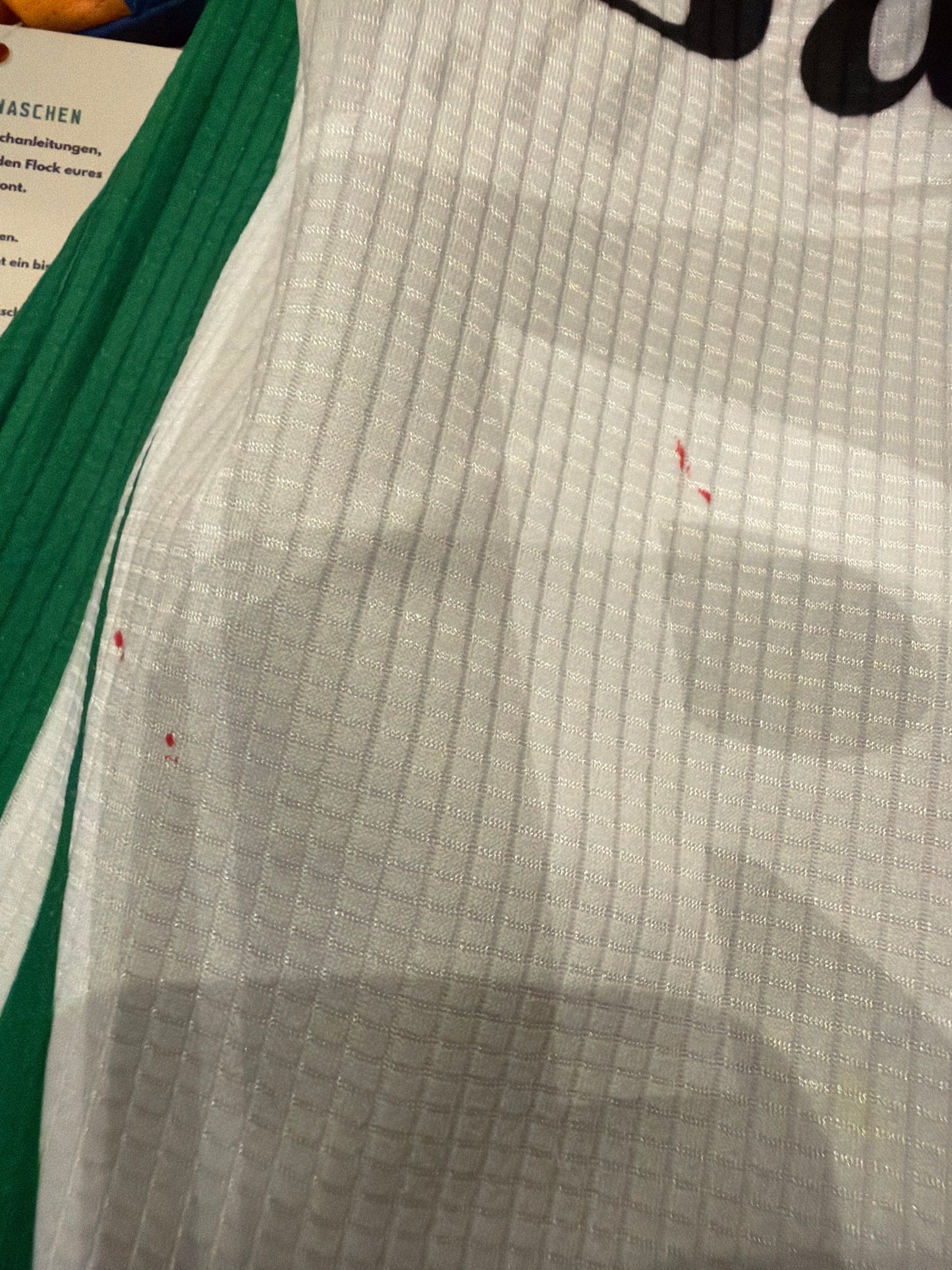 Rapid Wien 1998-99 Heim (S)