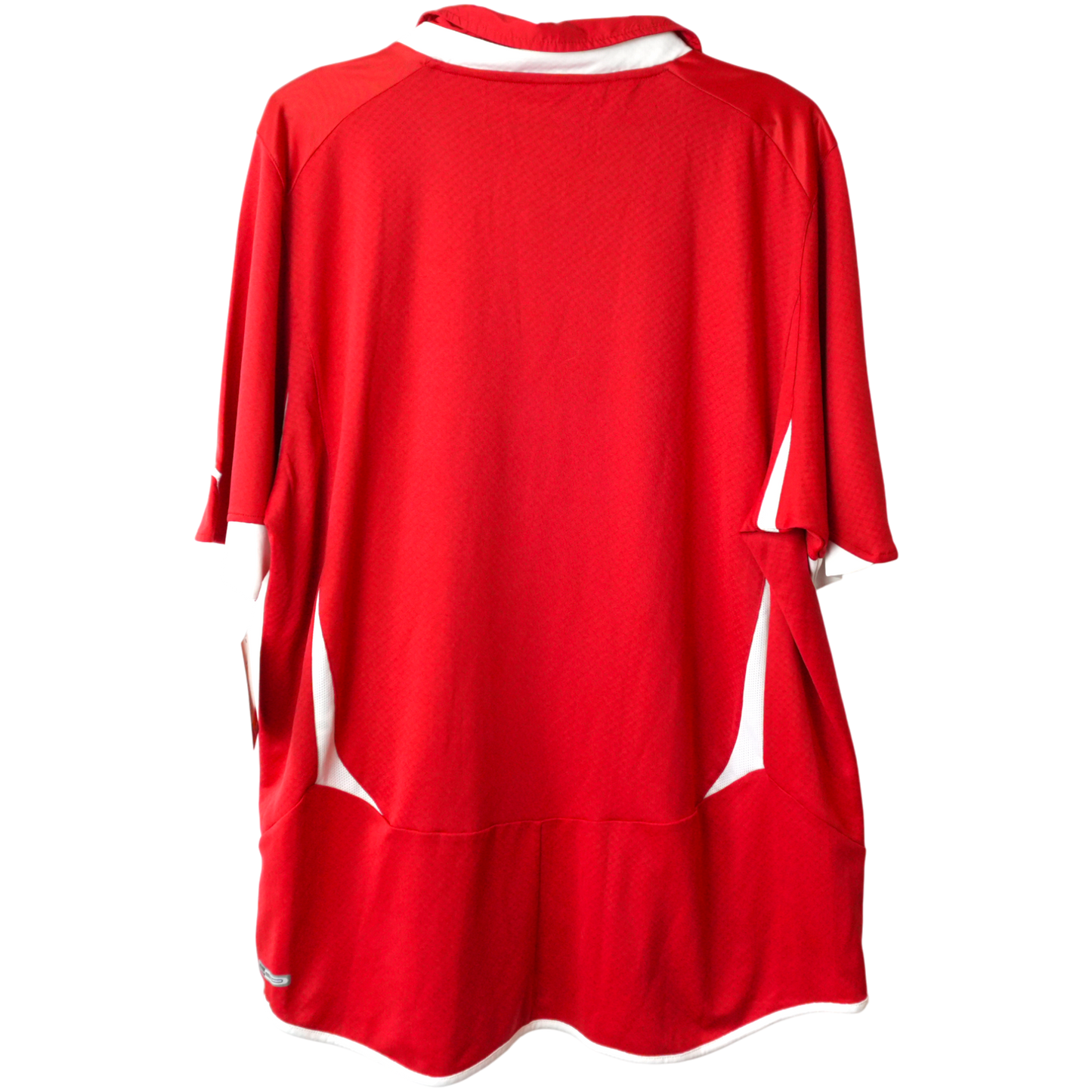 Schweiz Heim 2010 (XL)