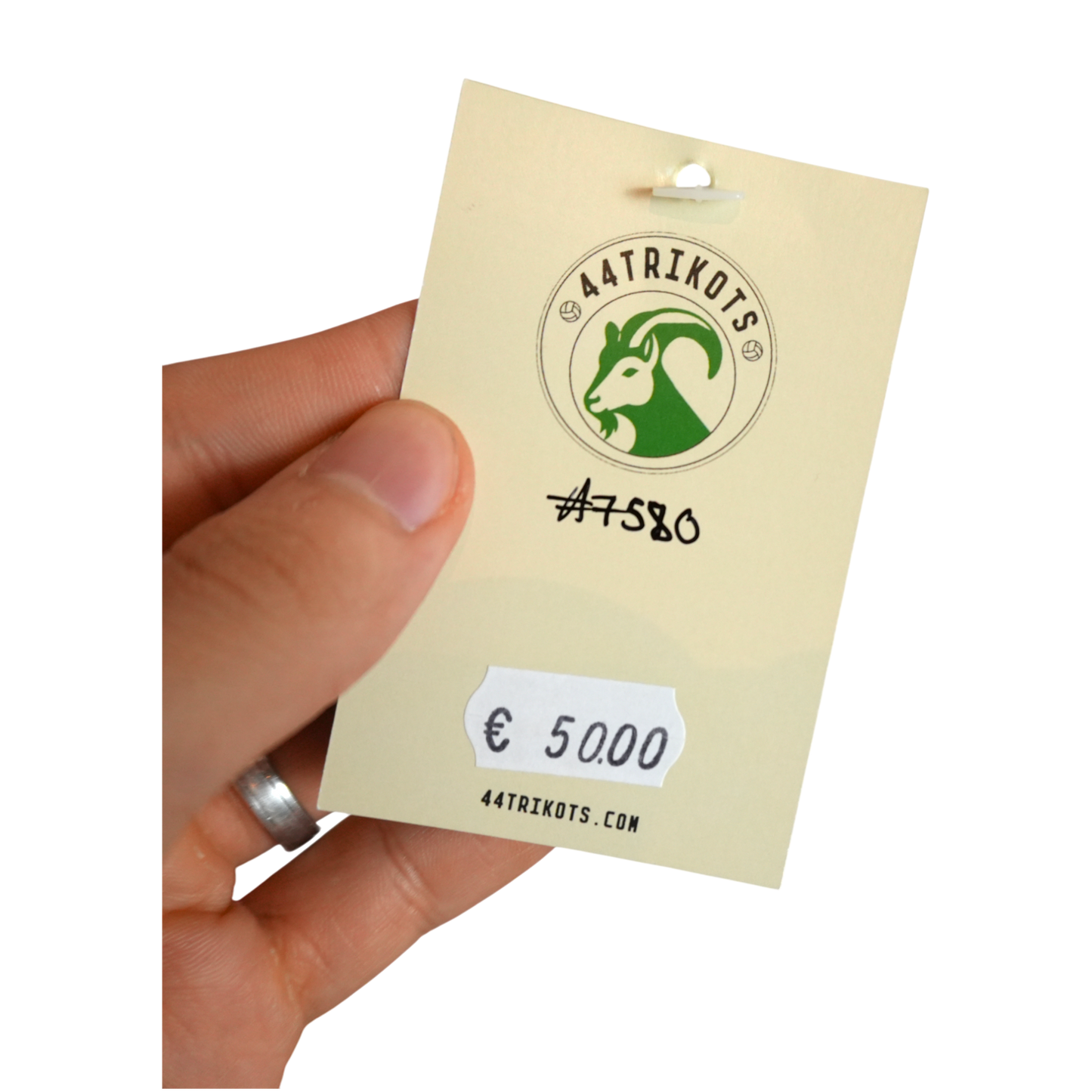 FC Augsburg Heim 09-10 mit Unterschriften (L)