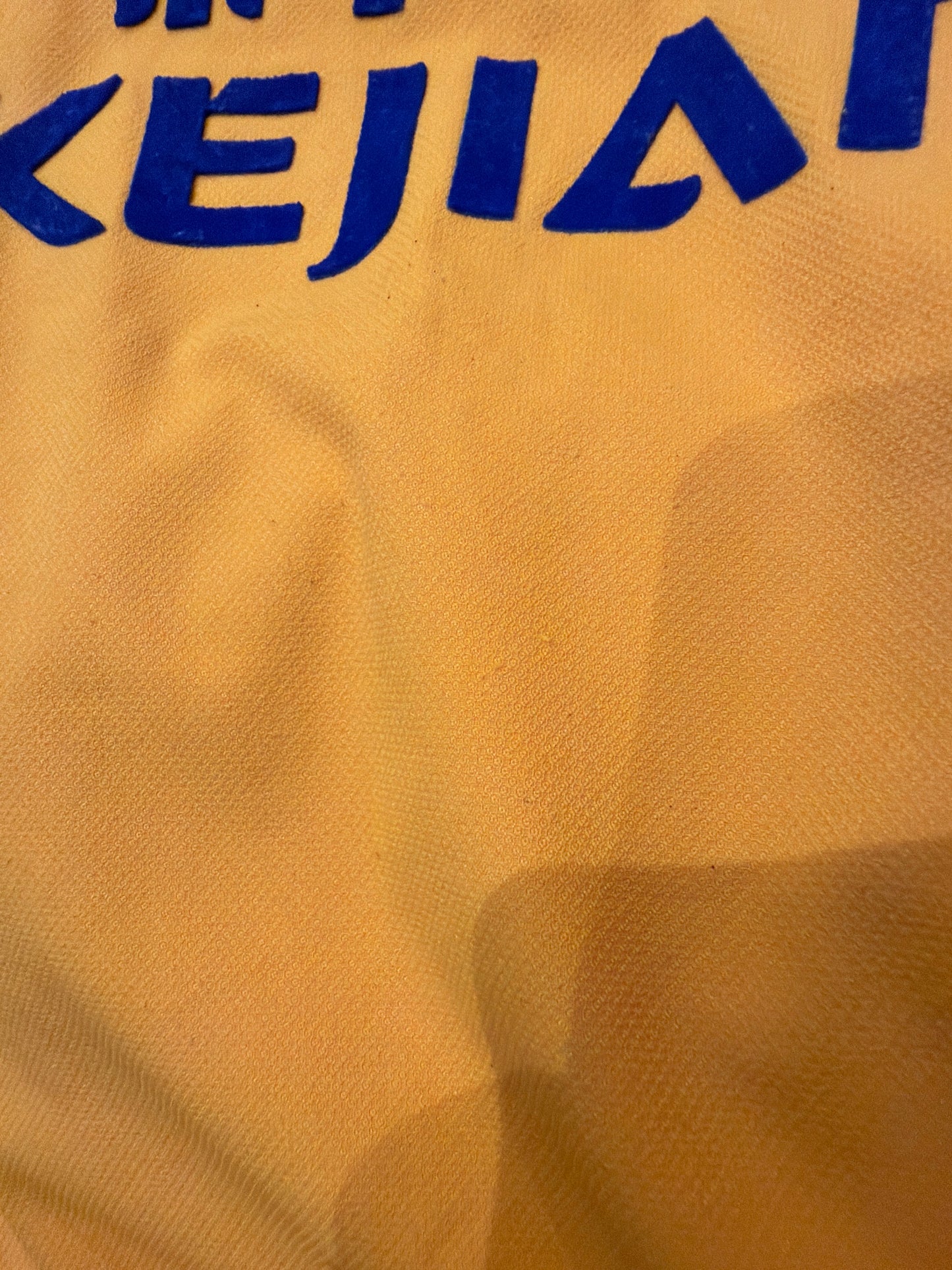 Everton 2003-04 Auswärts (L)