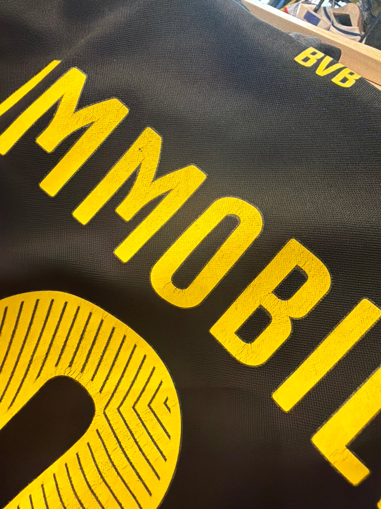 BVB Dortmund Immobile 2014-15 Auswärts (L)