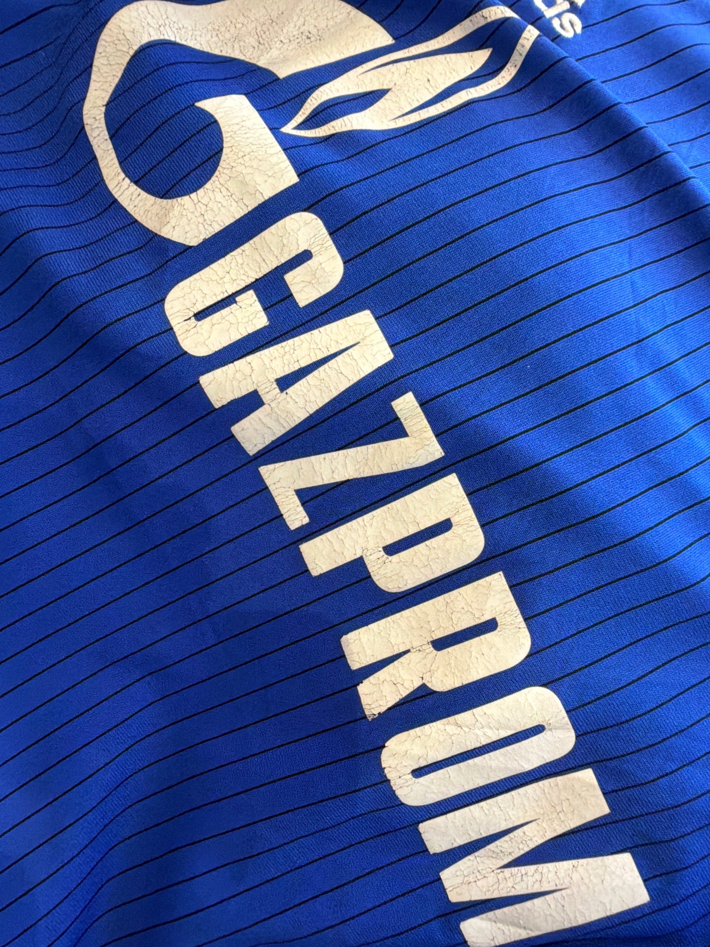 Schalke Höwedes 2014-16 Heim (L)