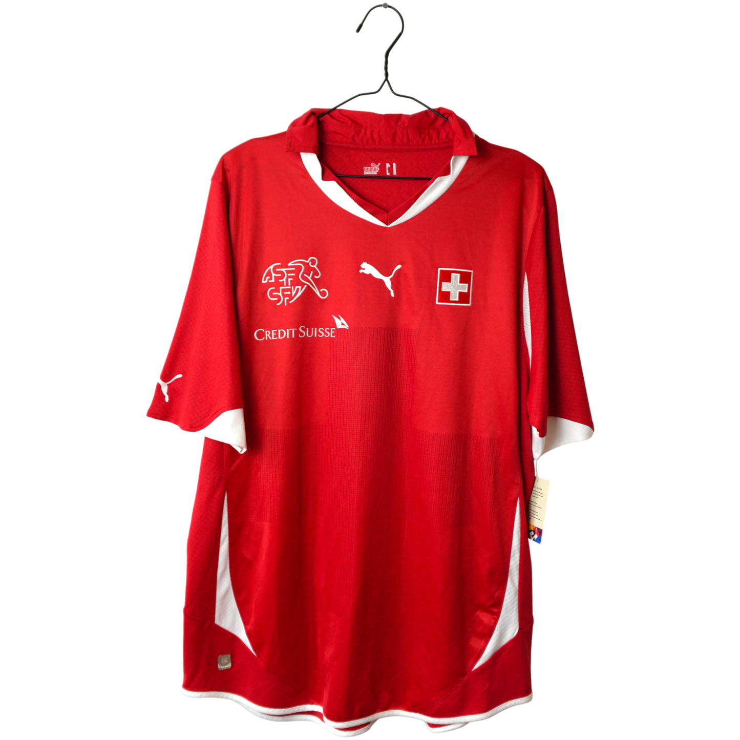 Schweiz Heim 2010 (XL)