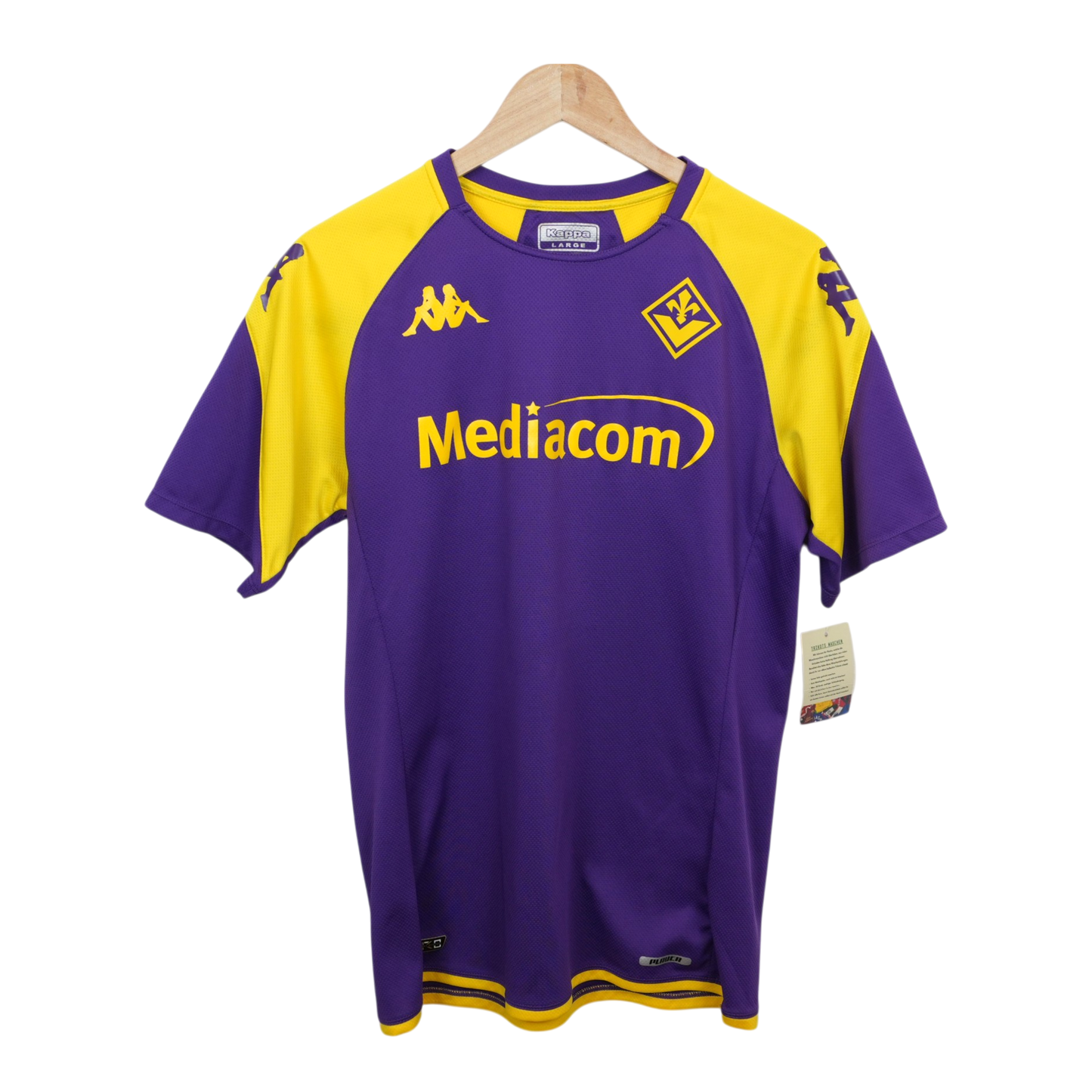 Fiorentina 2023-24 Training (L)