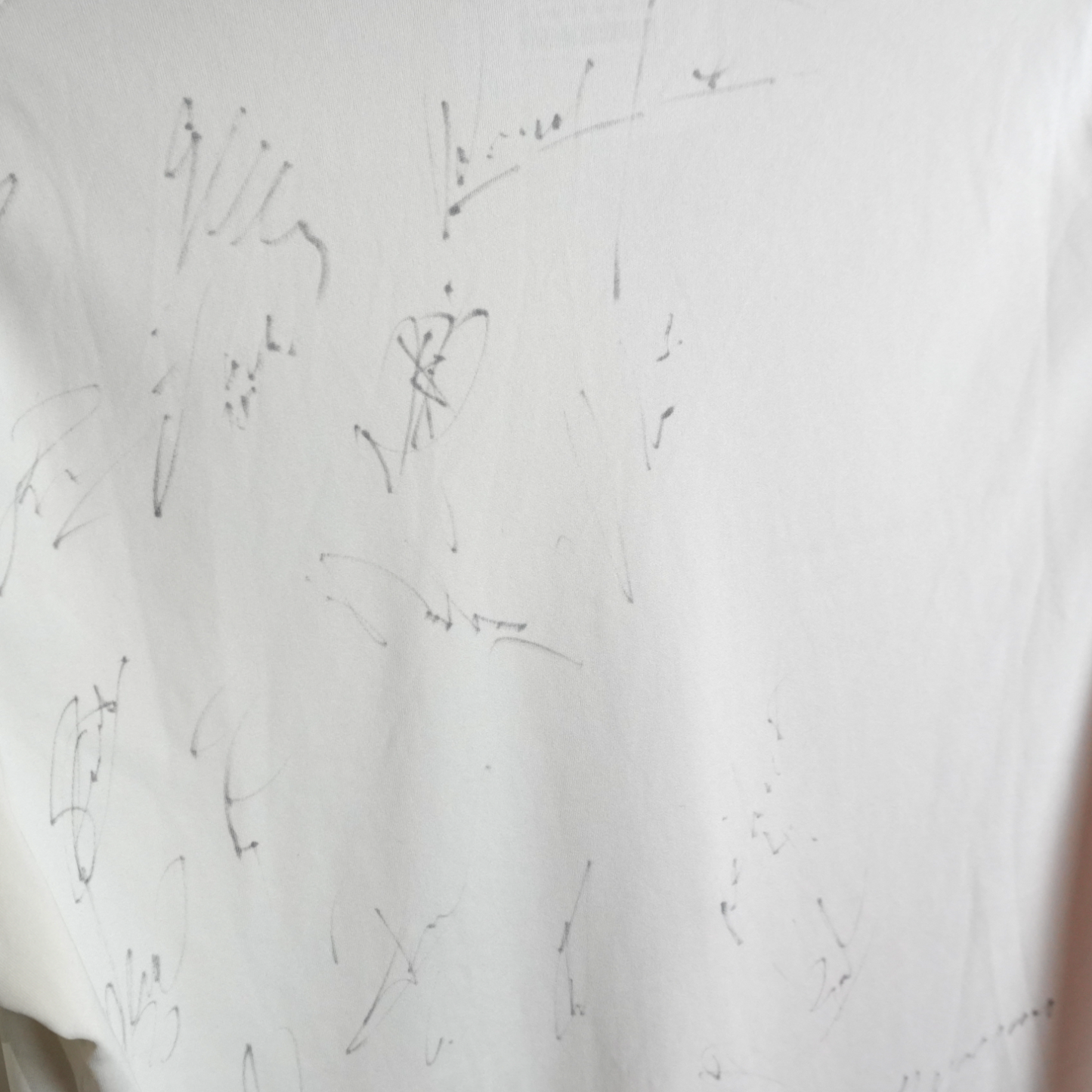 FC Augsburg Heim 09-10 mit Unterschriften (L)