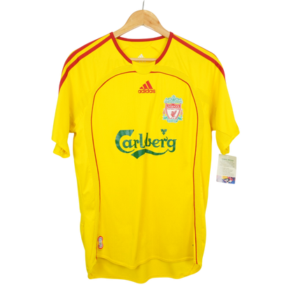 Liverpool Torres 2006-07 Auswärts (S)