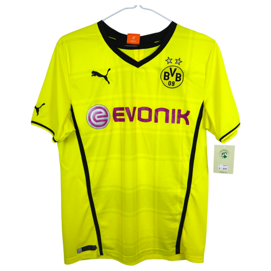 BVB Dortmund 2013-14 Heim (M)