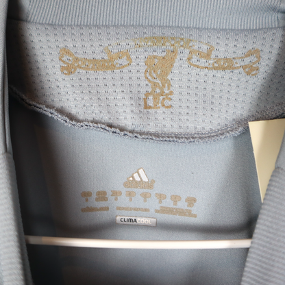 Liverpool Torwarttrikot (S)