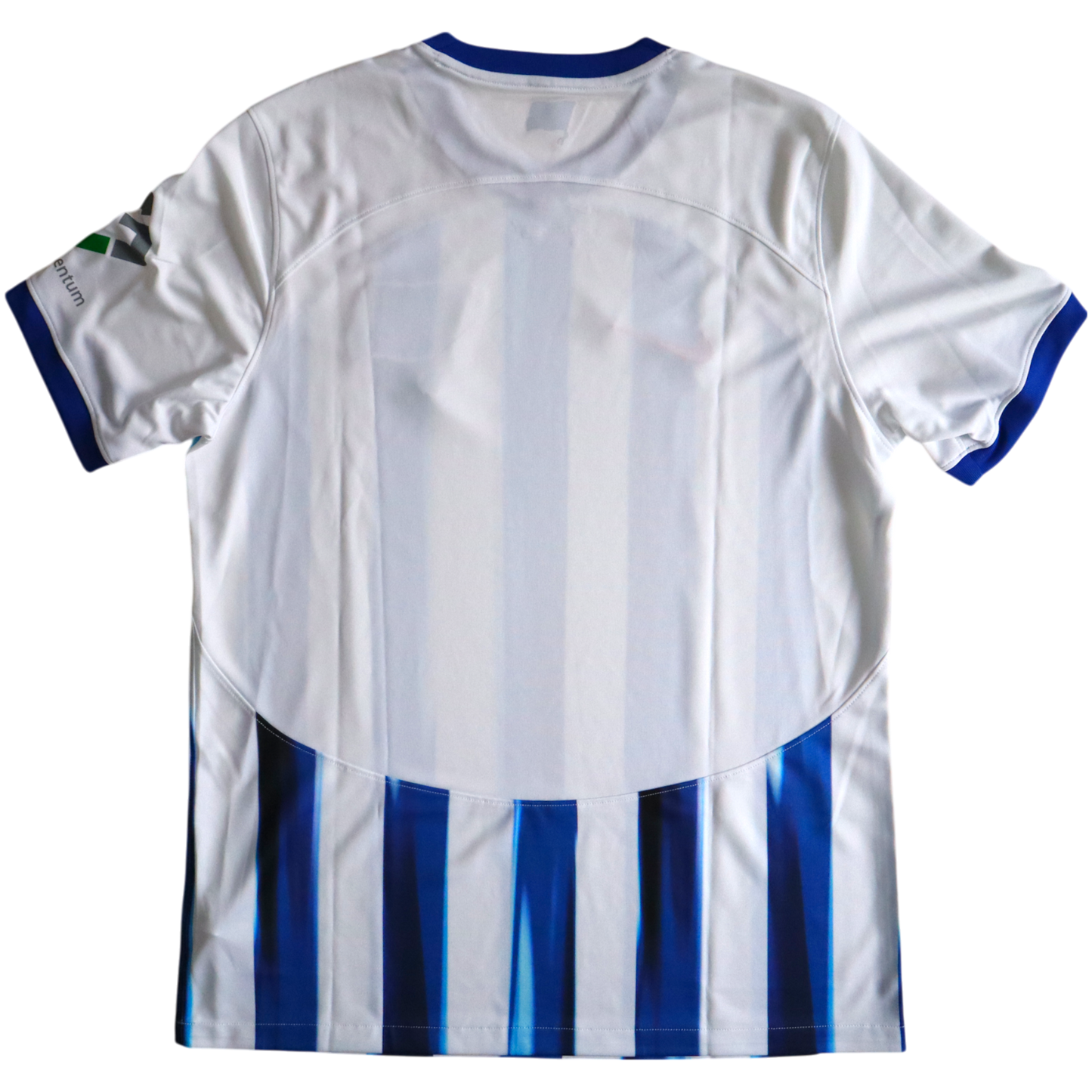 Hertha BSC Trikot Heim ohne Sponsor NEU mit Etikett 2023-2024 (L)